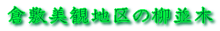 美観地区の柳並木